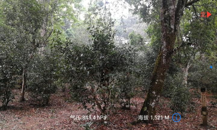 微信圖片_20180328091020.jpg