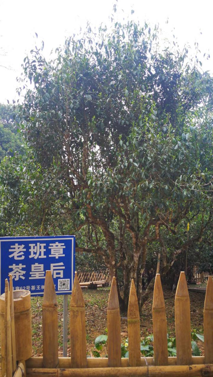 微信圖片_20180329090527.jpg