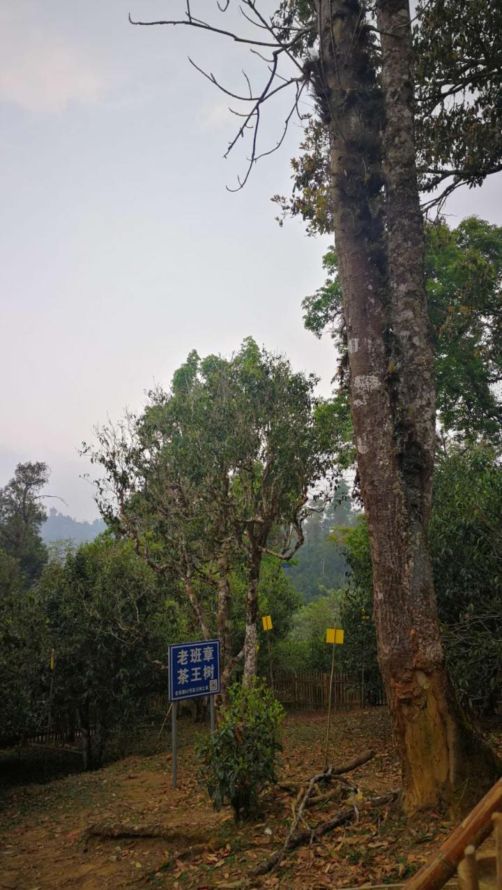 微信圖片_20180329090535.jpg