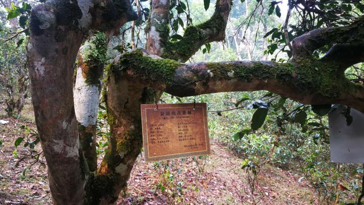 微信圖片_20180328091035.jpg