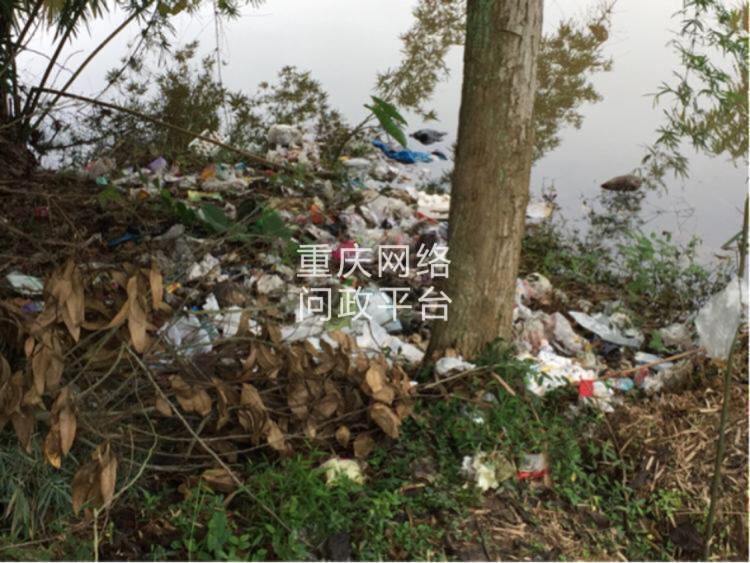 荣昌区双河街道高丰村河岸垃圾成堆-重庆网络问政平台