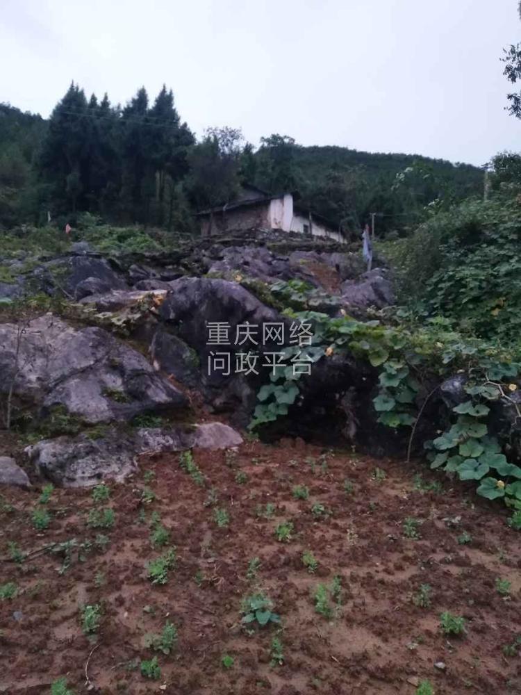 >关于重庆市巫山县庙宇镇庆上村4组板栗平的三通以及危房改造问题