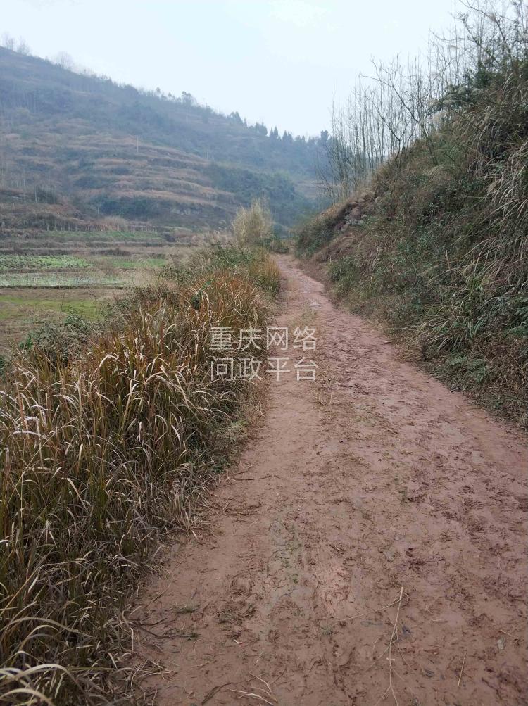 垫江县沙河乡沙河一社公路硬化怎么规划的什么时候能实现村村通正文