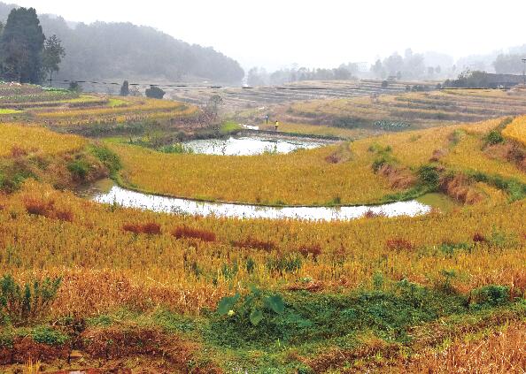 清风村:不等不靠 力拔穷根换新貌