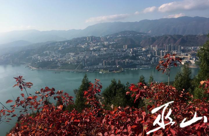 11月23日,三峽紅葉與巫山新城成為三峽新景觀。盧先慶攝.JPG