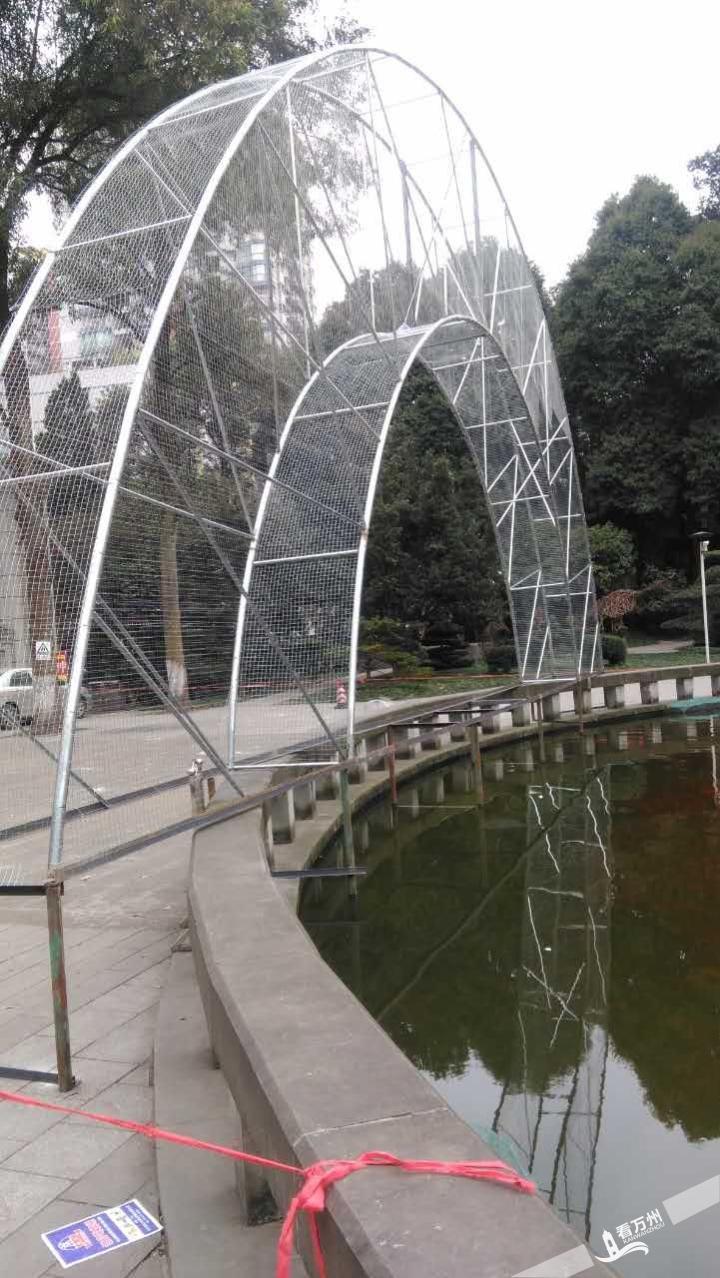 QQͼƬ20180130155938.jpg
