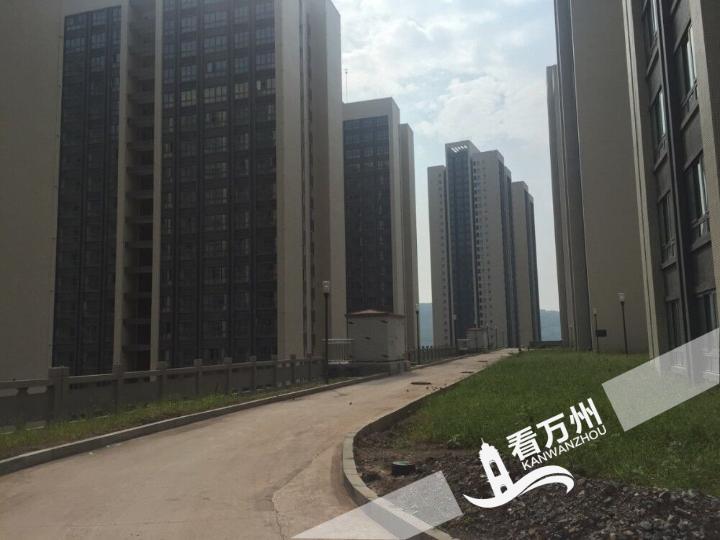QQͼƬ20180301160421.jpg