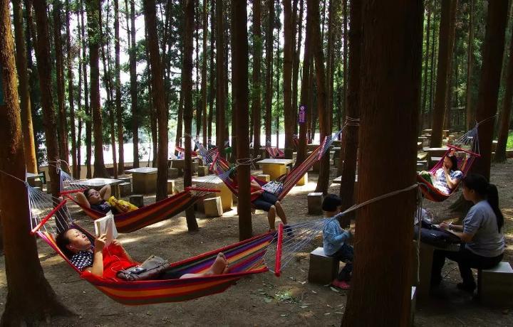 7月,在重庆丰都遇见更好的自己……